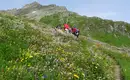 Alpenüberquerung vom Tegernsee nach Kitzbühel