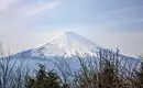 Japan: Kirschblüte oder Herbstlaub zaubern Farbenwunder