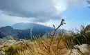 Landschaft im Biokovo-Gebirge mit Bergen und Himmel im Hintergrund.