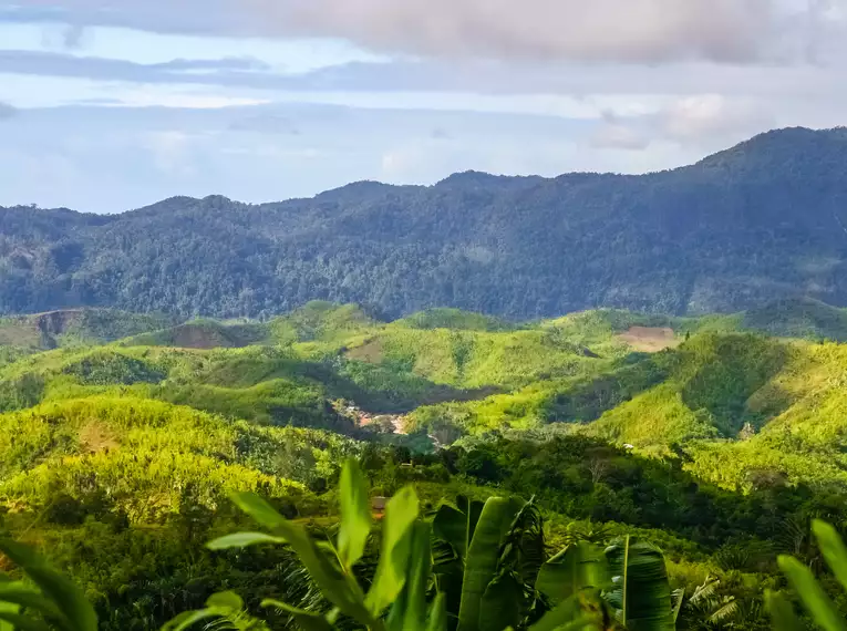 Die Highlights von Madagaskar erleben