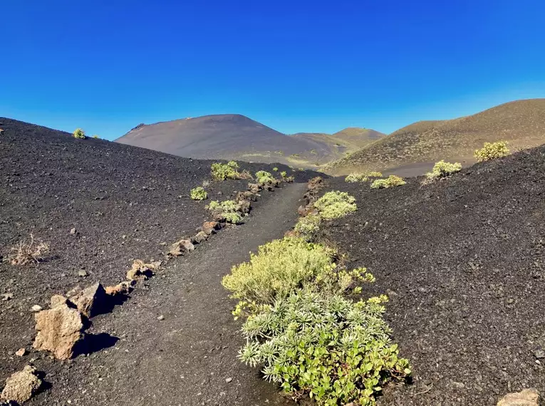 La Palma über Silvester