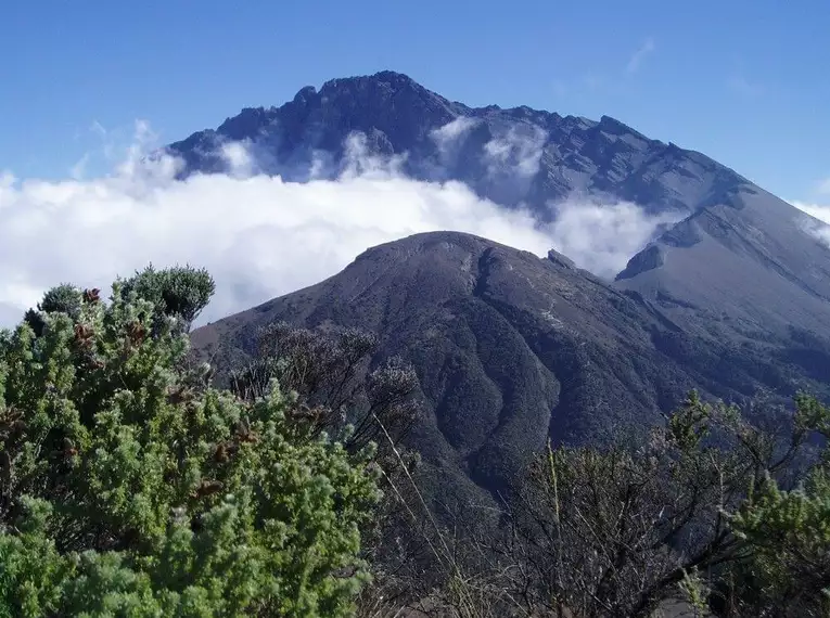 Kilimanjaro individuell - Machame Route inkl. Zusatztag