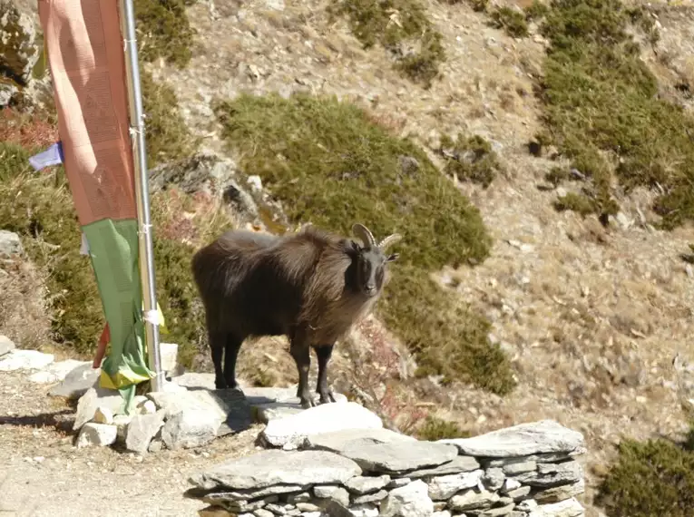 Nepal – Höhepunkte der Everest-Region