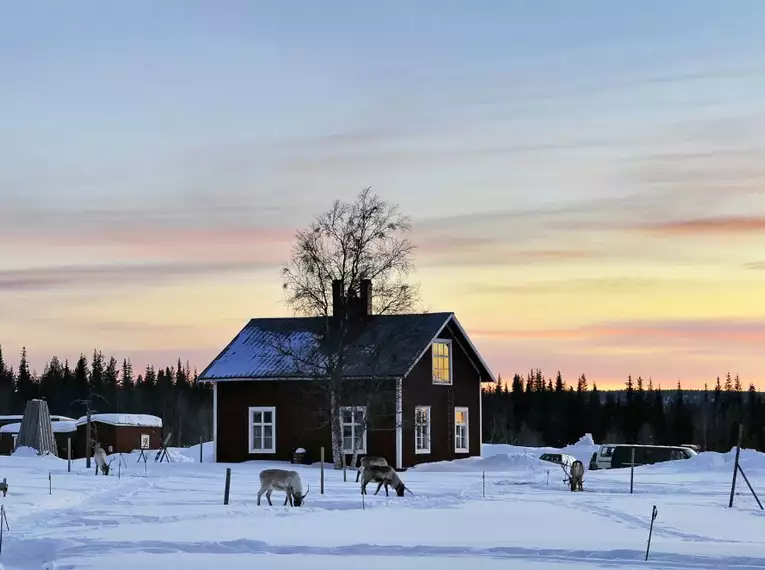 Magische Winteridylle in Schweden: Authentische Naturerlebnisse im Wildnisgehöft Solberget