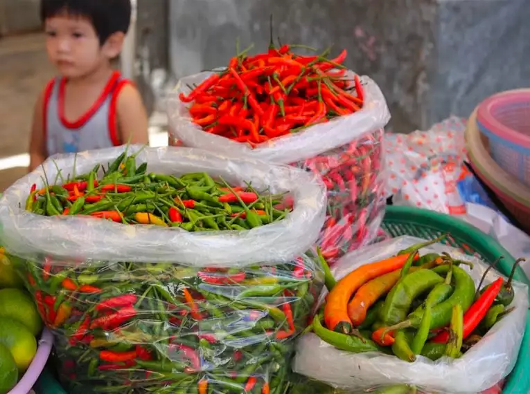 Thailand erleben: Entdecken Sie das Tropenparadies mit allen Sinnen