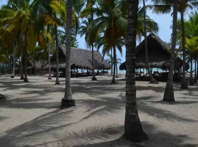 Strandhütten von Palmen umgeben an einem tropischen Strand in Kolumbien.