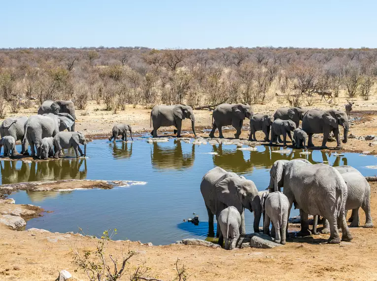 Die Highlights des südlichen Afrika erleben