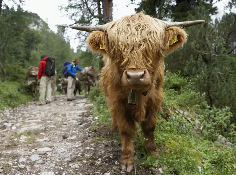 Alpenüberquerung von Innsbruck nach Sterzing