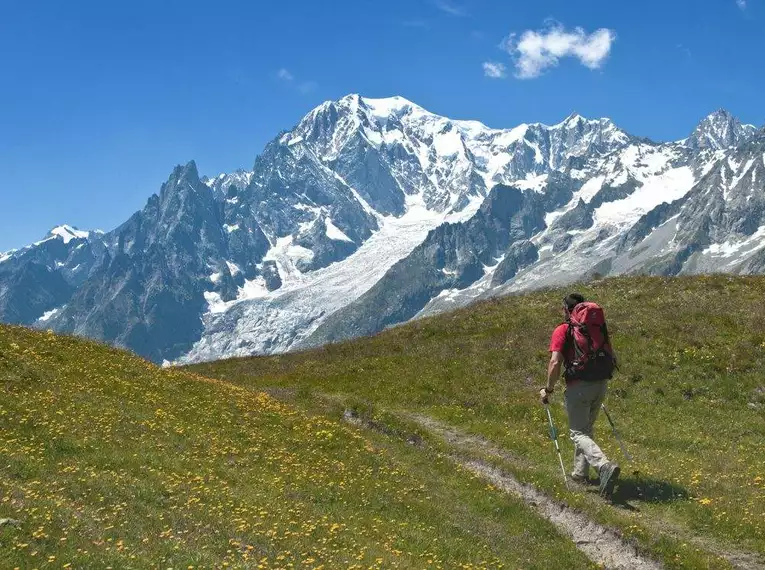 Wanderer in den Alpen vor dem Mont Blanc mit Bergblumen.