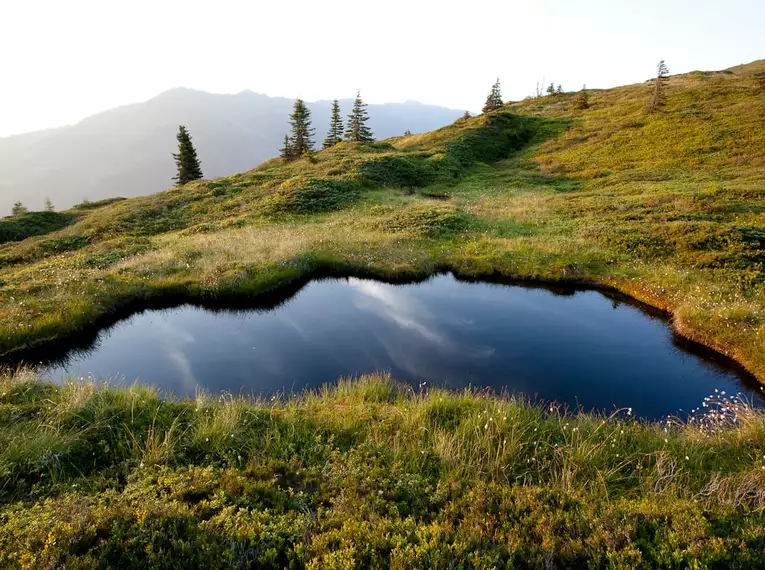 Kleine alpine Lacke in den Zillertaler Alpen mit Bergblick.