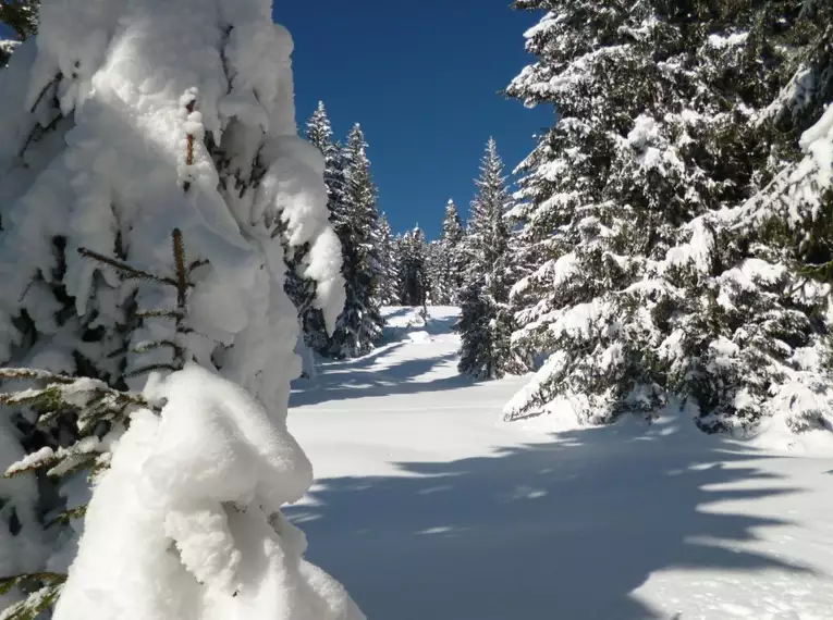 Schneeschuhtouren rund um Oberstdorf, Teil 1