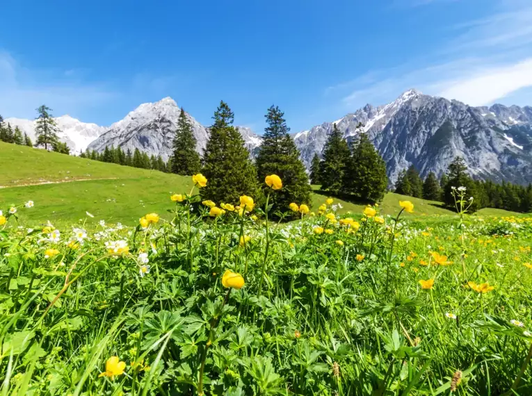 Individuelle Alpenüberquerung von Garmisch nach Meran