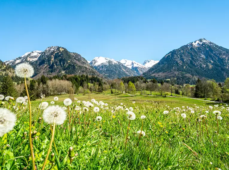 Alpenüberquerung Via Claudia - individuell von Füssen nach Meran