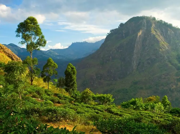 Sri Lanka komfortabel erwandern