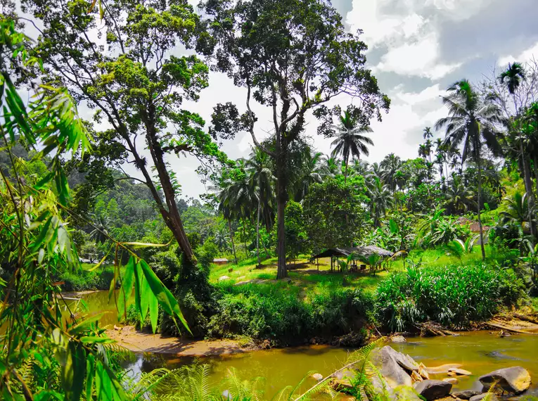 Sri Lanka komfortabel erwandern