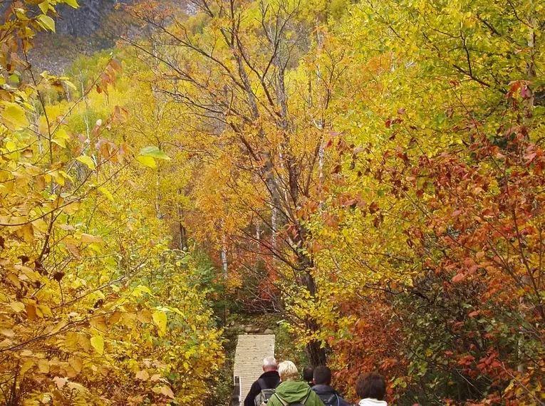 Indian Summer in Kanada: Farbrausch und Naturgenuss 