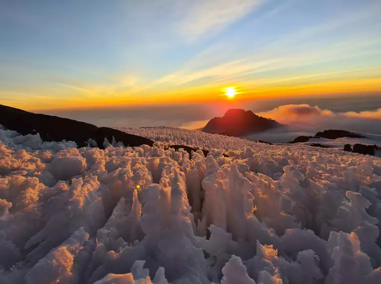 Kilimanjaro individuell - Lemosho Route mit Crater Camp