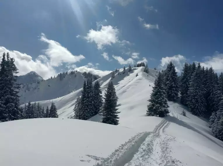 Schneeschuhtouren im Kleinwalsertal