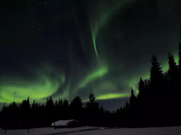 Magische Winteridylle in Schweden: Authentische Naturerlebnisse im Wildnisgehöft Solberget