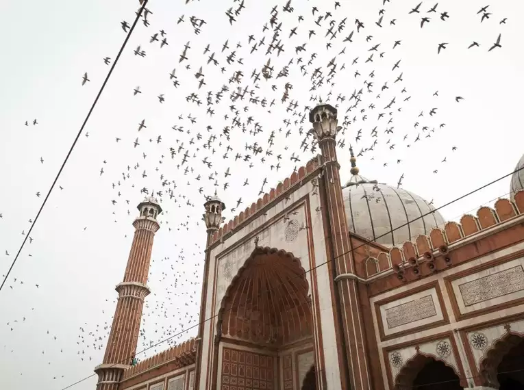 Indiens faszinierender Norden: Eine Reise voller Kontraste