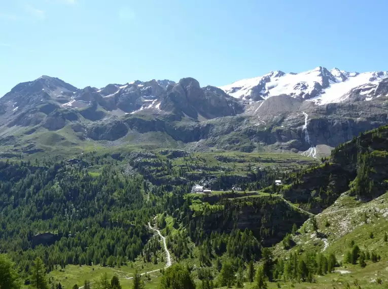 Panoramablick auf die schneebedeckten Berge in der Ortler Gruppe mit grünen Wäldern im Vordergrund.