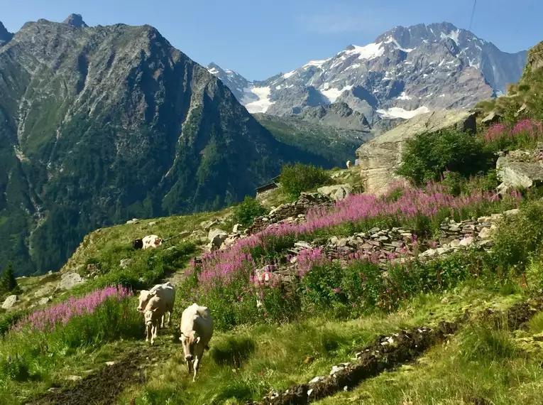 Entlang der Alta Via della Valmalenco