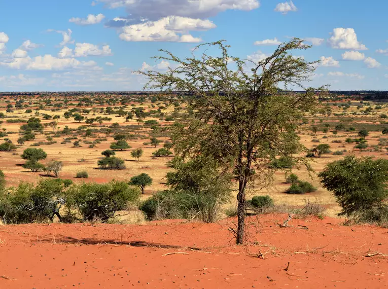 Silvester in Namibia