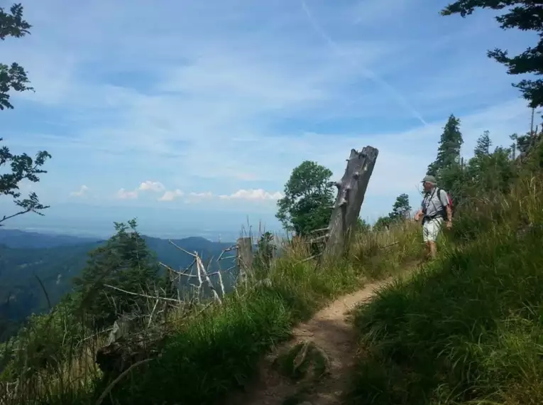 Die schönsten Wanderungen im Schwarzwald