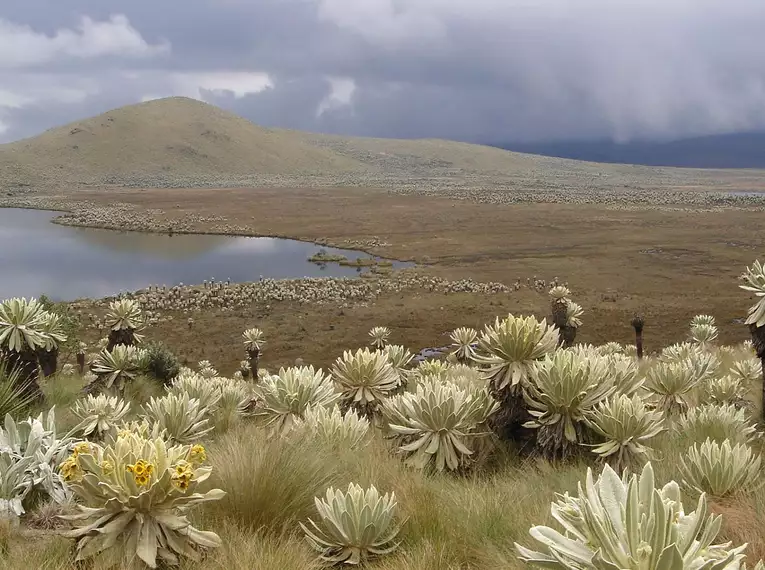 Ecuador auf verborgenen Wegen entdecken