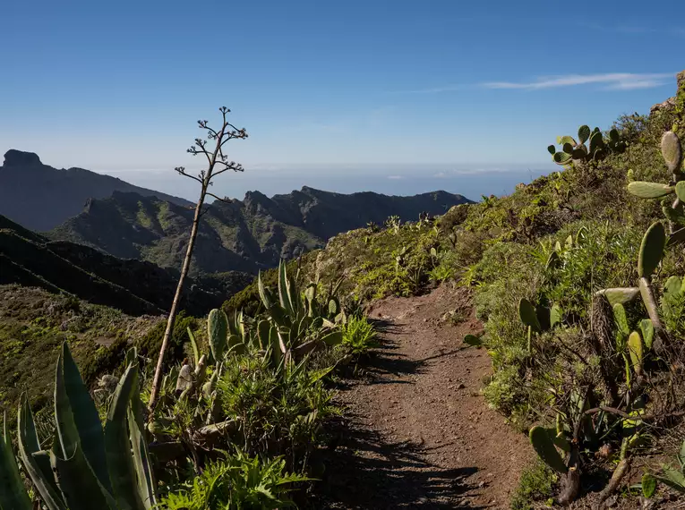 Teneriffa gemütlich erwandern