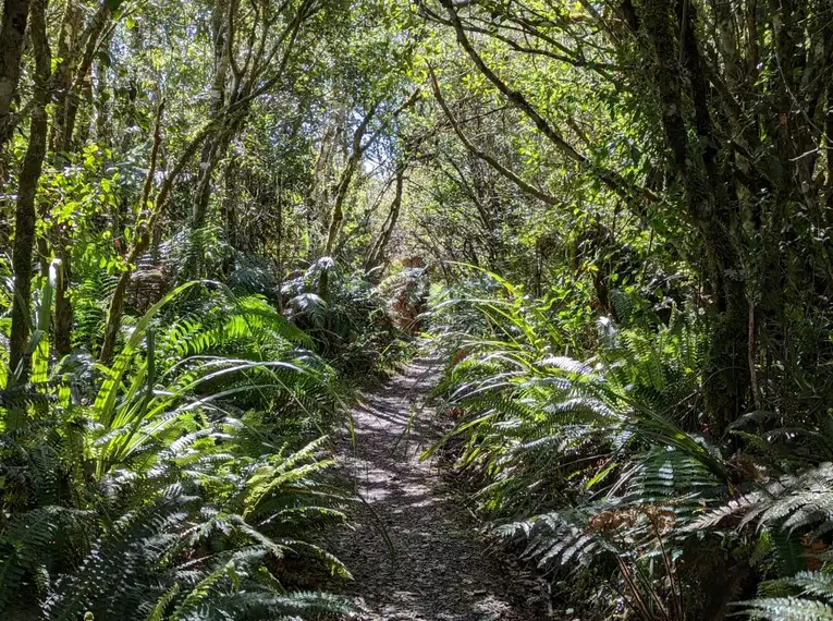 Neuseeland - Trekking im Land der langen weißen Wolke