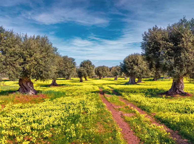 Siziliens Highlights erwandern