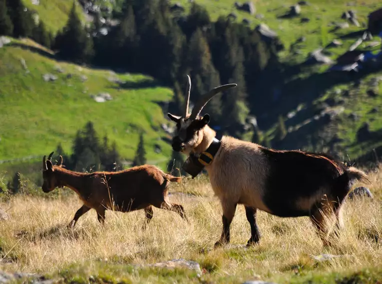 Individuelle Alpenüberquerung vom Tegernsee nach Kitzbühel