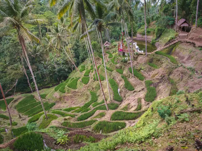 Indonesiens Naturschauspiel: Von Vulkanen auf Java bis zur Magie Balis