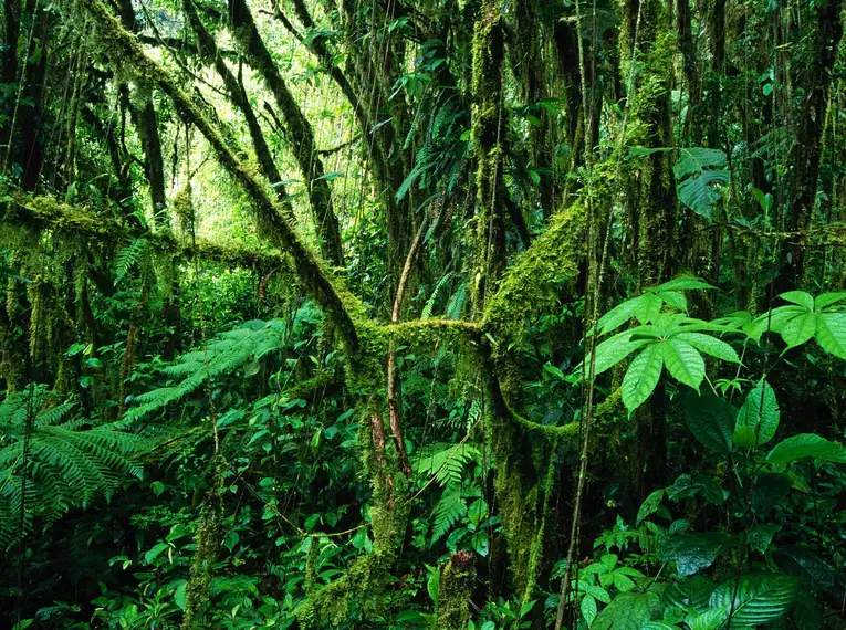 Costa Rica naturnah erwandern