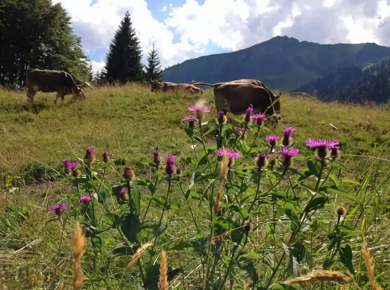 Bergwanderwoche rund um Oberstdorf im Allgäu