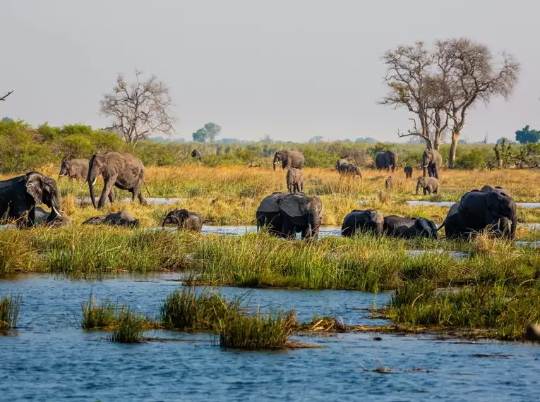 Namibia & Botswana - Tiervielfalt zwischen Wüstenbergen und Flussoasen