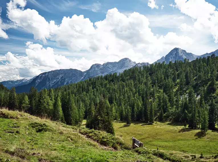 Salzburger Kalkalpen gemütlich erwandern für Singles und Alleinreisende