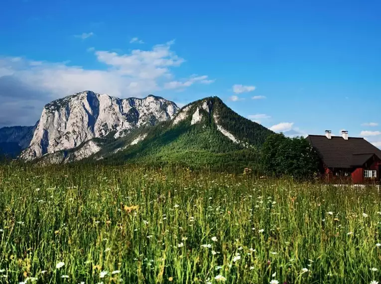 Individuelle Genusswanderungen im Salzkammergut - 8 Tage