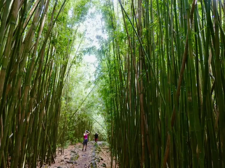 Hawaii – Wanderparadies in der Südsee