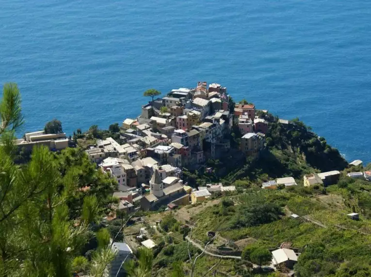 Blick auf das Küstendorf Corniglia in den Cinque Terre, umgeben von Weinbergen und dem blauen Meer.