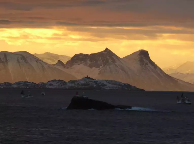 Norwegen - Skitouren auf den Lofoten