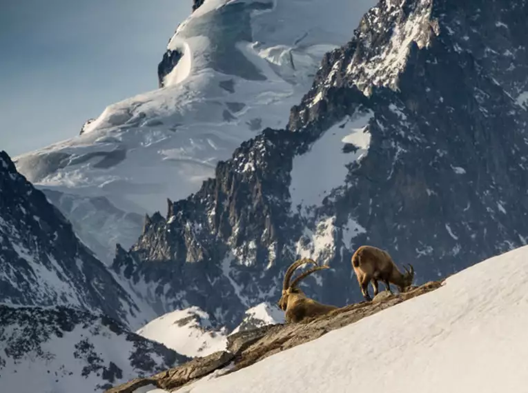 Skitourenwoche in der Dauphiné, Frankreich