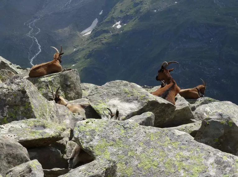 Individuelle Alpenüberquerung von Kitzbühel zu den Drei Zinnen