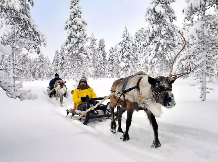 Magische Winteridylle in Schweden: Authentische Naturerlebnisse im Wildnisgehöft Solberget