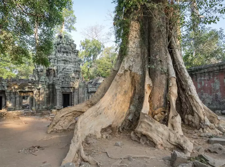 Tempelzauber und Alltagsleben in Vietnam und Kambodscha