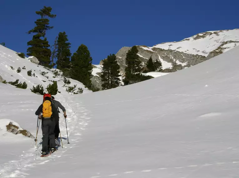 Schneeschuhwandern im stillen Obernbergtal