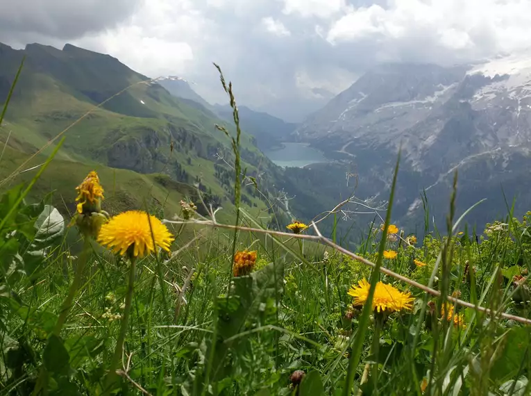 Dolomiten Höhenweg Nr. 2