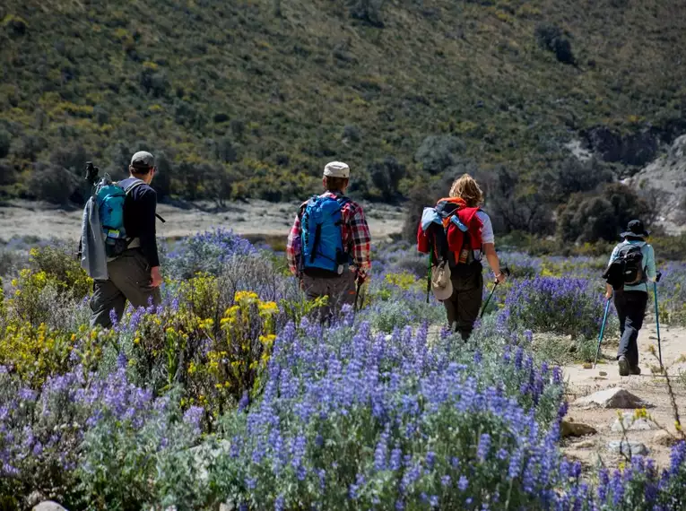 Trekkingreise Peru: Verborgene Schätze entlang des neuen Inka Trails