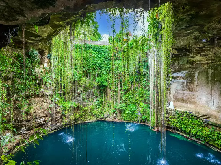 Erfrischende Cenote mit hängenden Pflanzen in Mexiko.